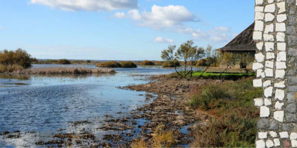 Parque Natural Doñana